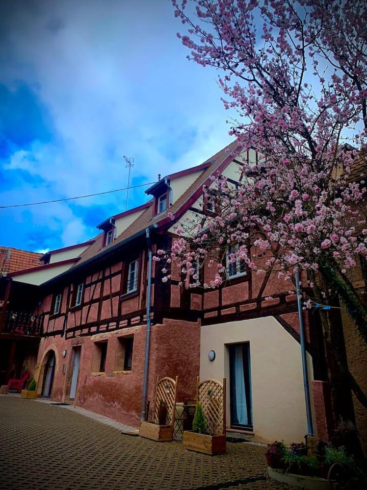 Le Clocher " Sous Les Combles" Parking Gratuit Beblenheim Exterior photo
